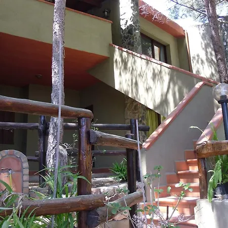 Pinus Village *