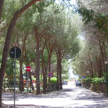 Pinus Village شقة *