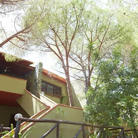 Pinus Village *